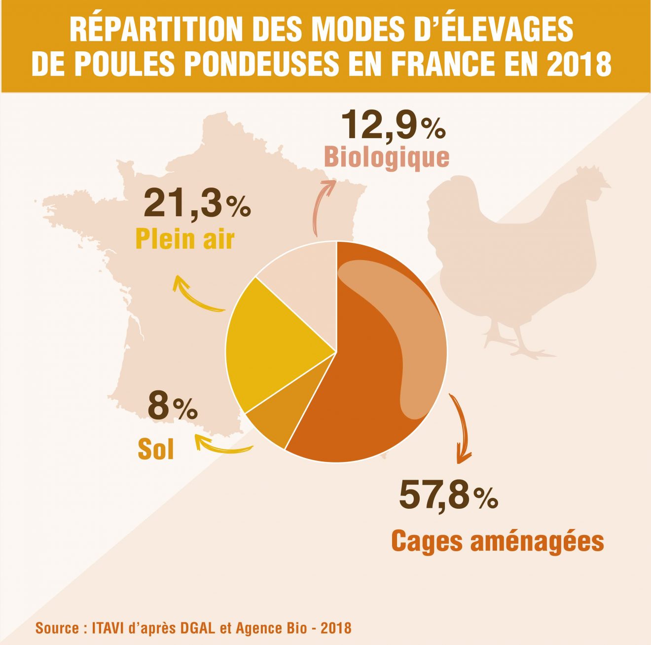 Production D’œufs En France : Transition Vers Les élevages Alternatifs ...