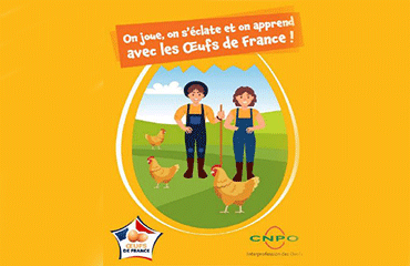 Enfants / À la découverte d’un monde inconnu : celui de la poule et de ses œufs !