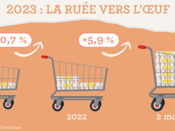 La consommation d’œufs s’envole chez les ménages français