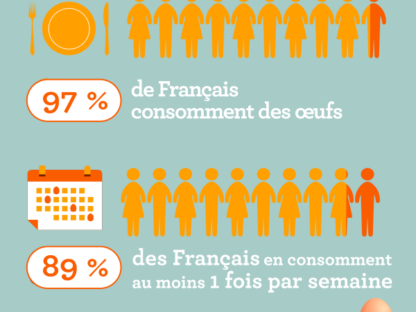 Enquête : les innombrables qualités de l’œuf reconnues des Français !