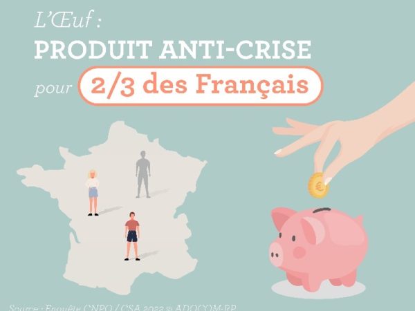 L’œuf : produit anti-crise d’après les 2/3 des Français !