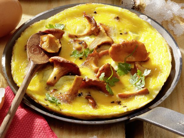 Omelette aux Girolles