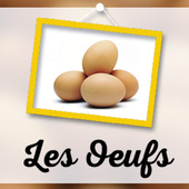 La Quotidienne La Suite : tout sur l'émission, news et vidéos en replay - France 5