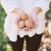 L'œuf, l'allié de votre peau pour une rentrée réussie - Elle