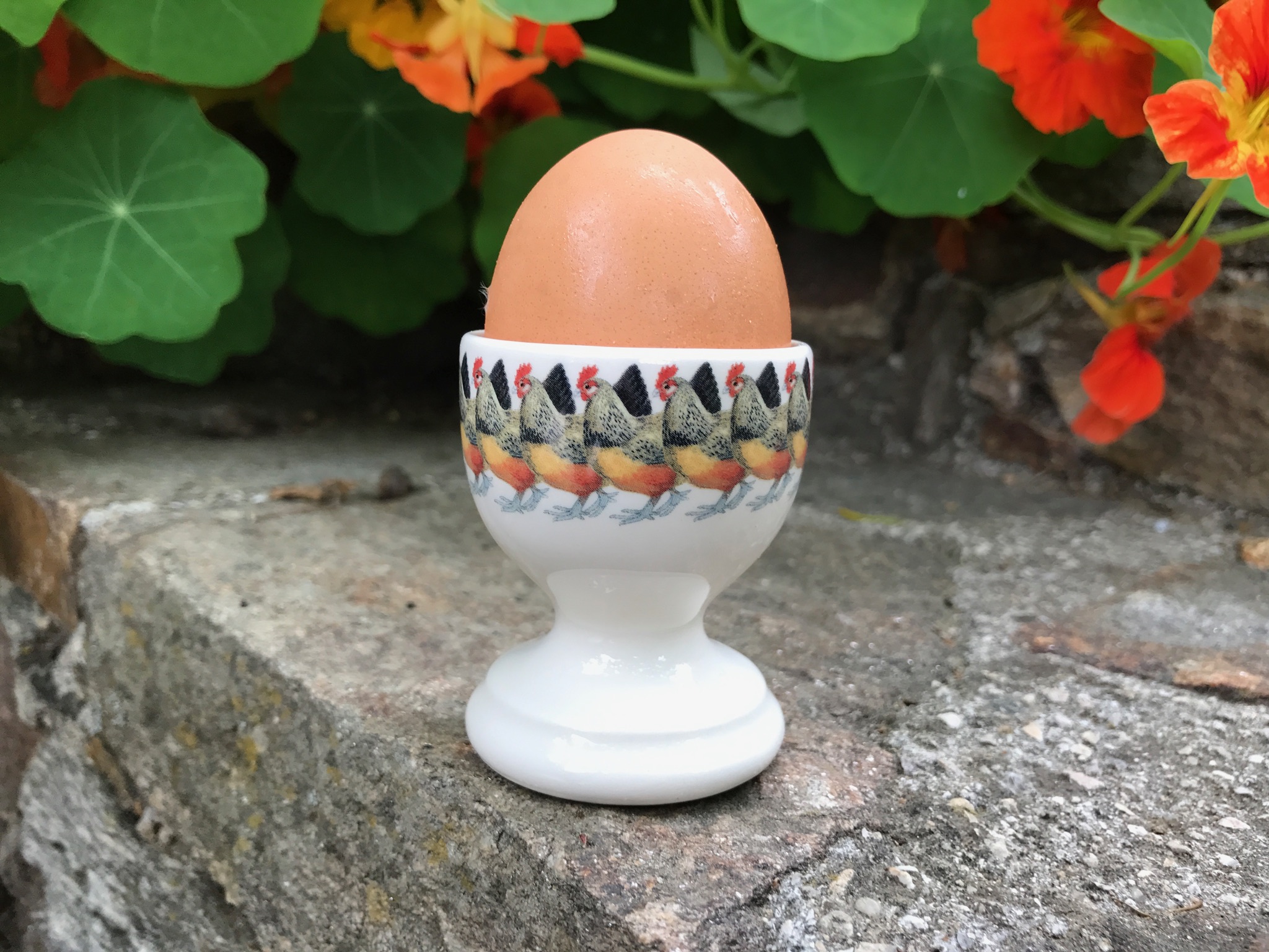 Oeuf coque - SoToven