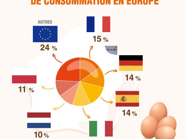 L’œuf considéré comme un produit anti-crise par 2/3 des Français !