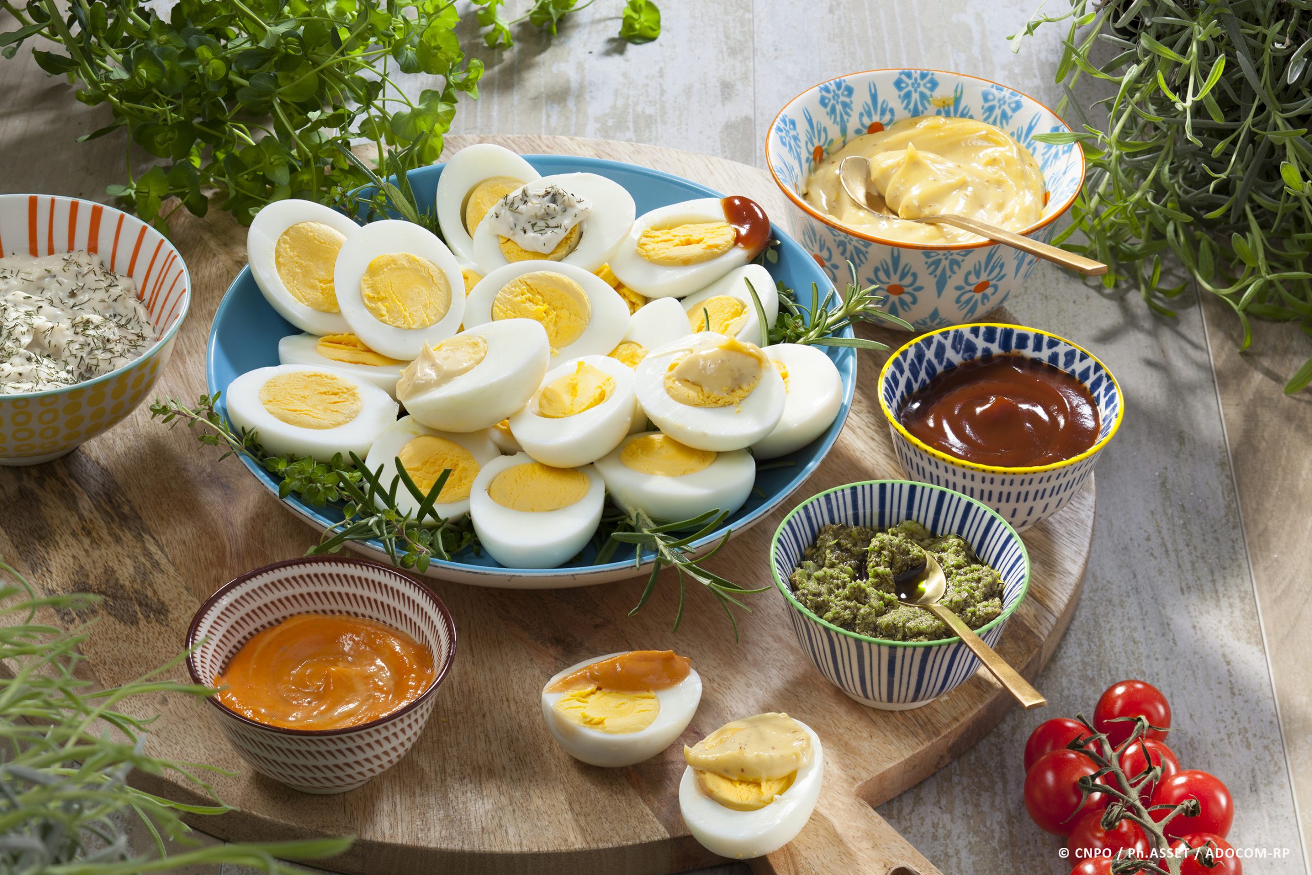 Les Œufs de France mis à l’honneur lors du Championnat du Monde de l’Œuf Mayonnaise !