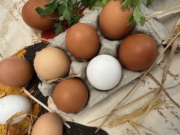 Recettes d’œufs à découvrir dans Cuisine Actuelle d’août : sublimez vos restes en cuisine !